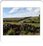 Back Garden View Garden view back